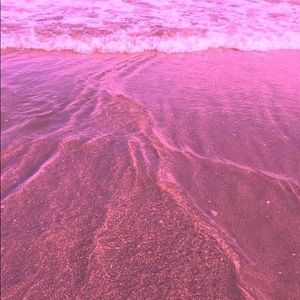 Meet your Posher, Sadie